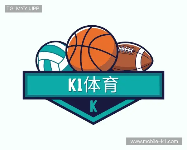 介绍K1体育官网